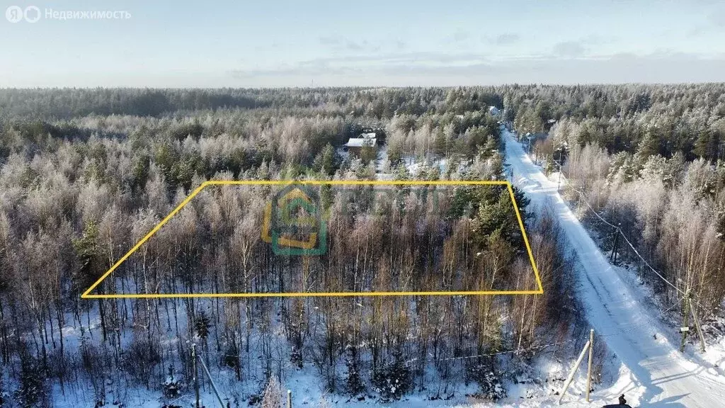 Участок в Сертоловское городское поселение, садоводческое ... - Фото 1