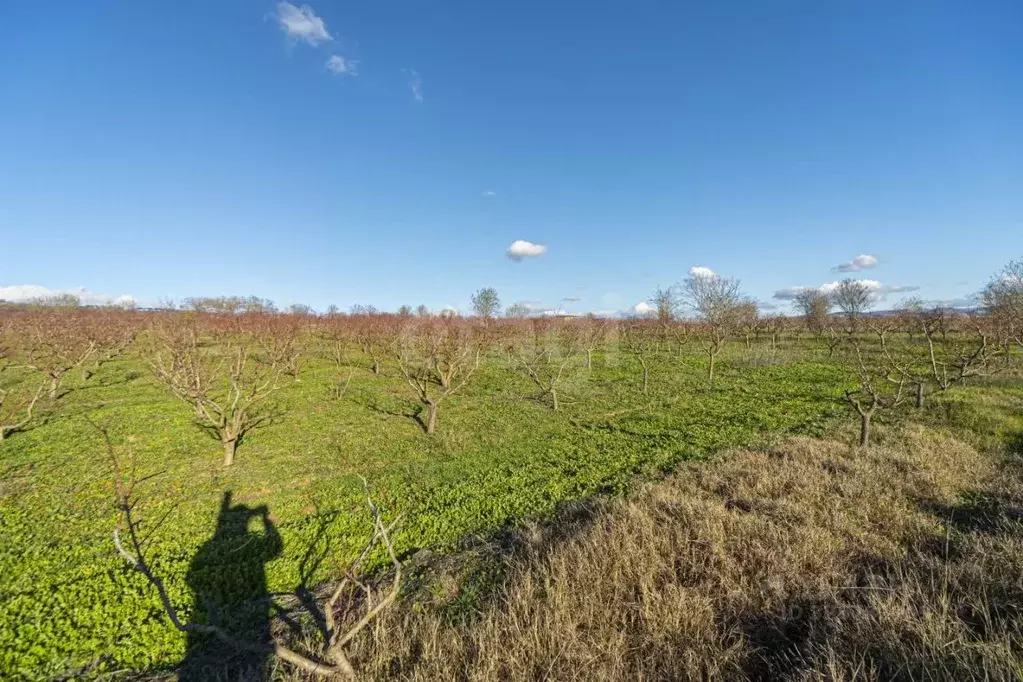 Участок в Крым, Бахчисарайский район, с. Долинное  (101.94 сот.) - Фото 1