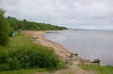 Участок в Вологодская область, Вашкинский муниципальный округ, с. ... - Фото 1