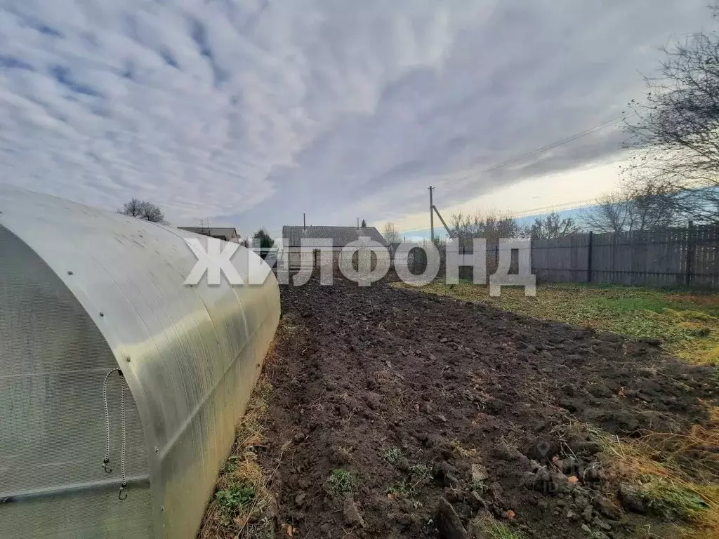 Участок в Новосибирская область, Новосибирский район, Мичуринский ... - Фото 2