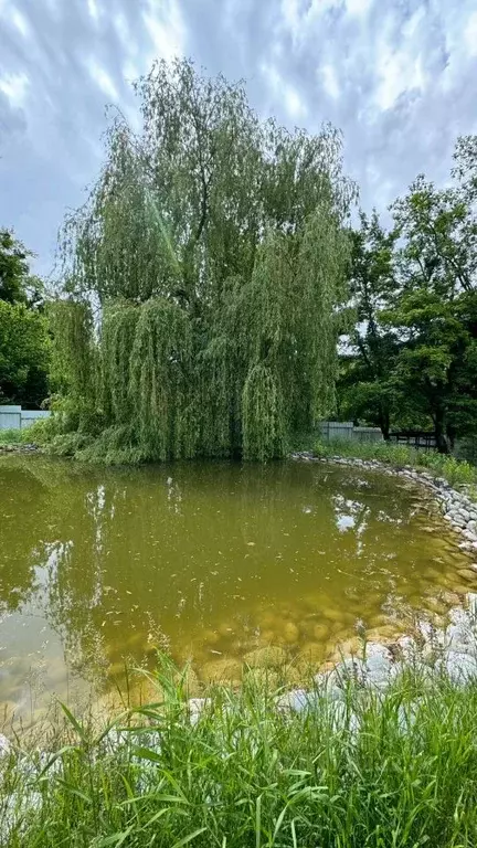 Участок в Краснодарский край, Геленджик городской округ, с. ... - Фото 1