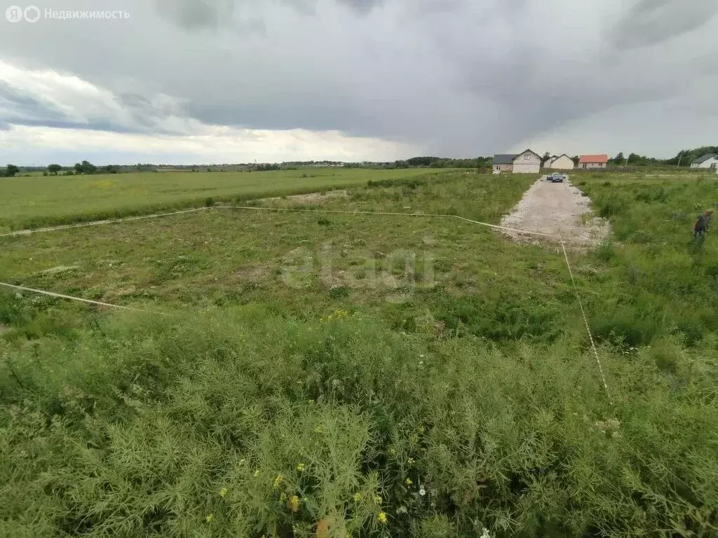 Участок в Калининградская область, Гурьевский муниципальный округ, ... - Фото 1