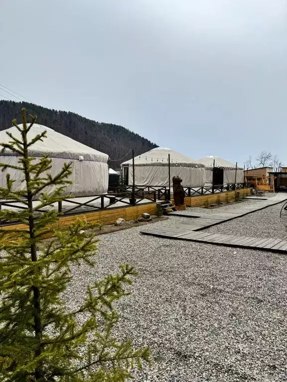 Дом в Иркутская область, Иркутский муниципальный округ, Листвянка рп ... - Фото 2