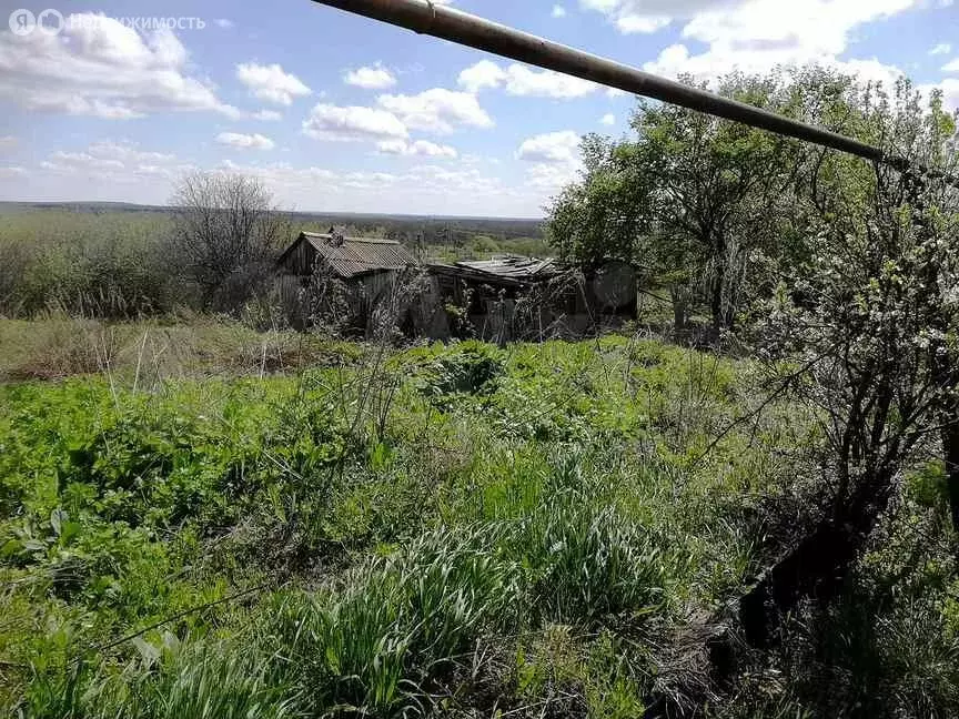 Участок в Лысогорский район, Большерельненское муниципальное ... - Фото 1