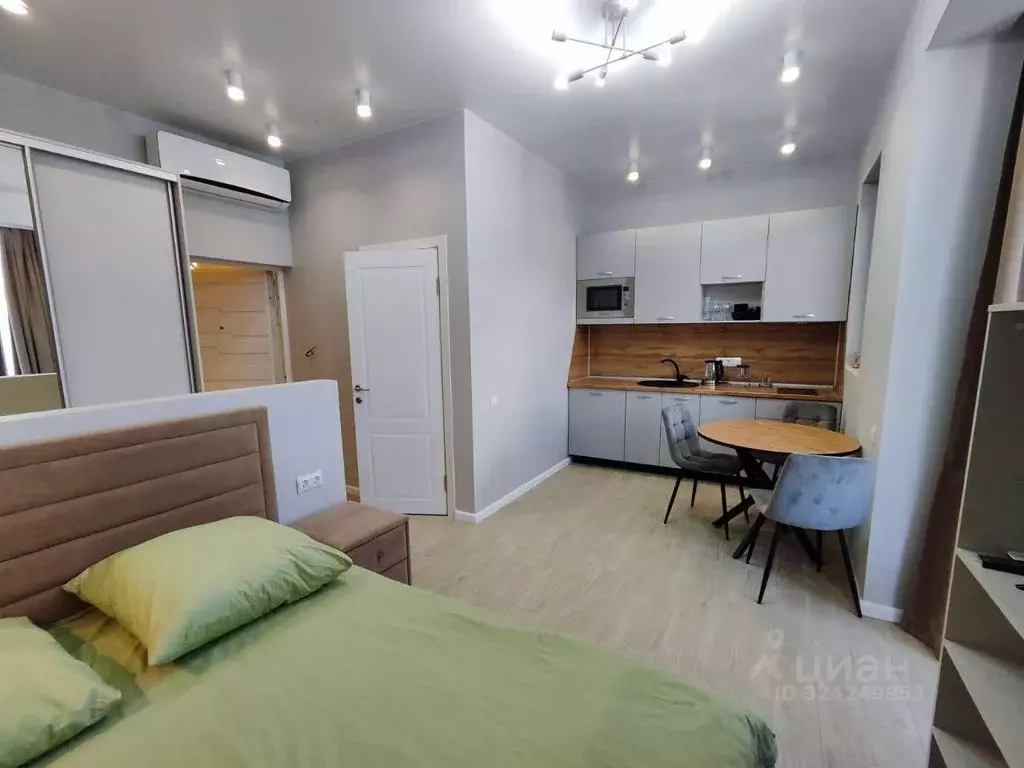 1-к кв. Краснодарский край, Сочи Лазаревское жилрайон, ул. Речная, 2Д ... - Фото 1