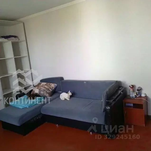 1-к кв. Крым, Евпатория городской округ, Заозерное пгт ул. Садовая, 1 ... - Фото 2