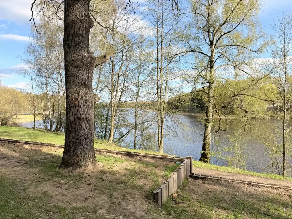 Участок в Московская область, Рузский муниципальный округ  (11.0 сот.) - Фото 1