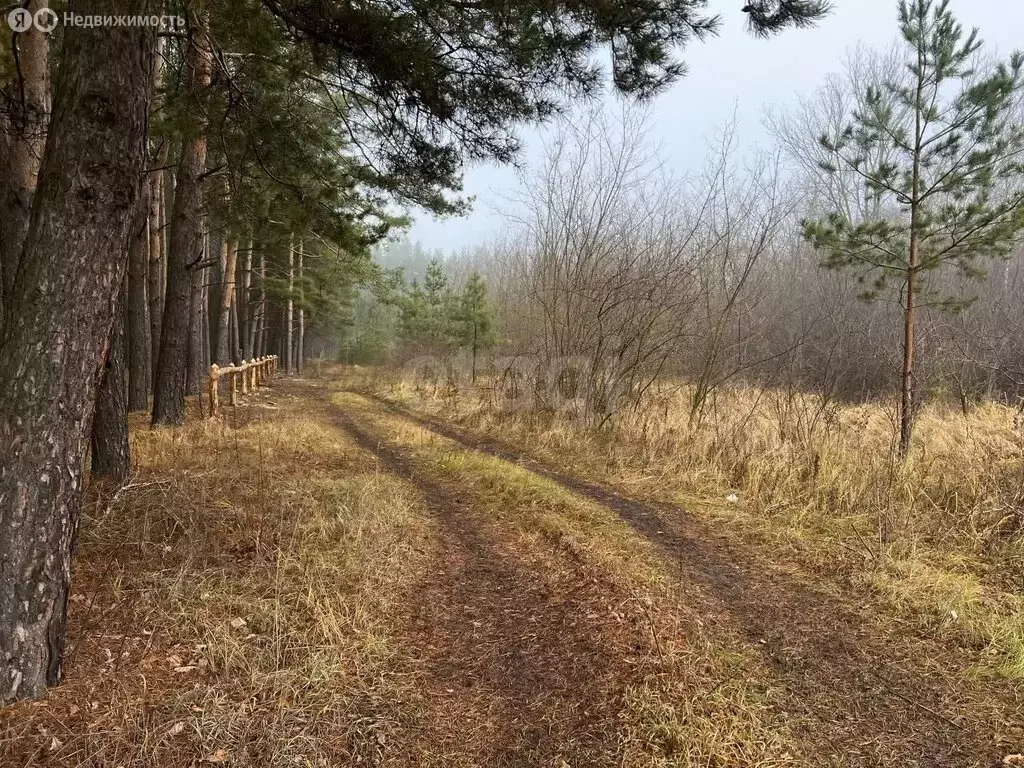 Участок в Тамбовский муниципальный округ, село Большая Липовица (20 м) - Фото 1