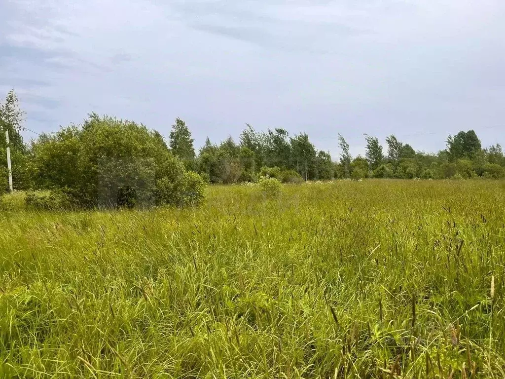 Участок в Новгородская область, Боровичи Западный мкр, 4 (12.0 сот.) - Фото 1