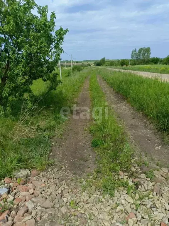 Участок в Тульская область, Новомосковск ул. Шахтерская (12.0 сот.) - Фото 0