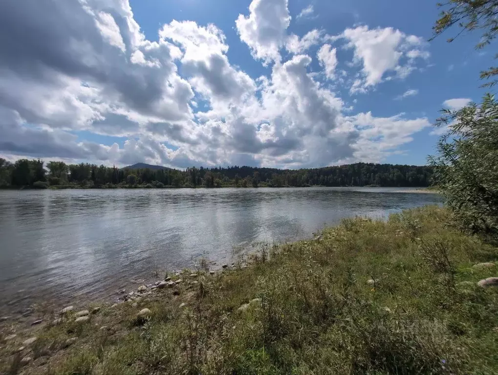Участок в Алтай, Турочакский район, с. Озеро-Куреево  (50.0 сот.) - Фото 0