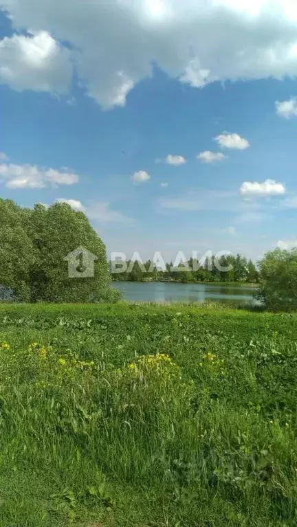 Дом в Владимирская область, Вязниковский район, Паустовское ... - Фото 0