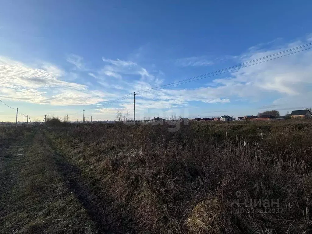 Участок в Курская область, Октябрьский район, Черницынский сельсовет, ... - Фото 1