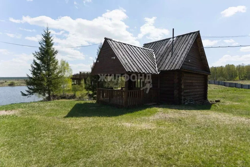 Участок в Новосибирская область, Тогучинский район, с. Коурак пер. ... - Фото 0