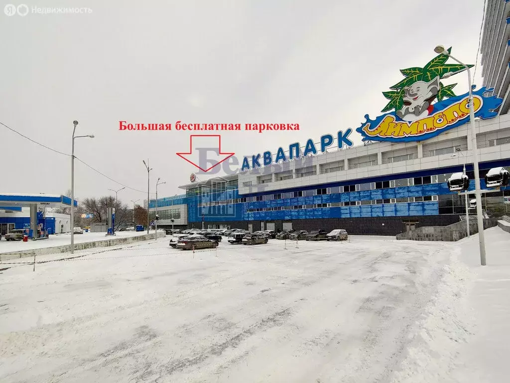 Помещение свободного назначения (610 м) - Фото 2