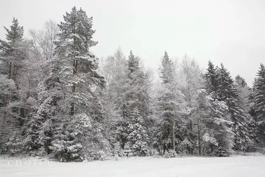 Участок в Московская область, Одинцовский городской округ, пос. ... - Фото 2