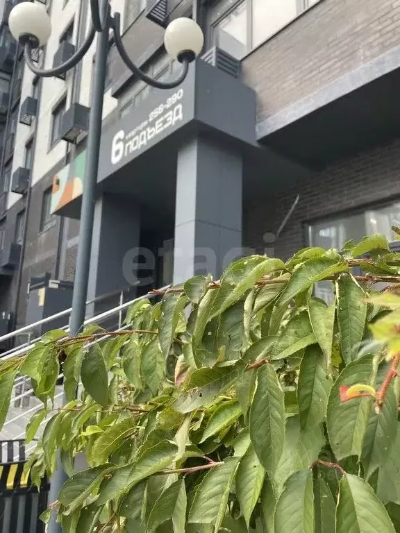 2-к кв. Краснодарский край, Темрюк Дальняя ул., 30/1 (62.37 м) - Фото 1