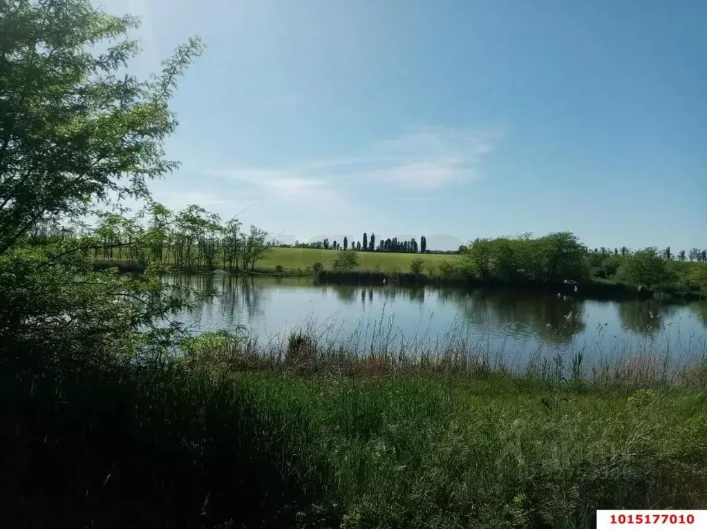 Дом в Краснодарский край, Гулькевичский район, Скобелевское с/пос, ... - Фото 1