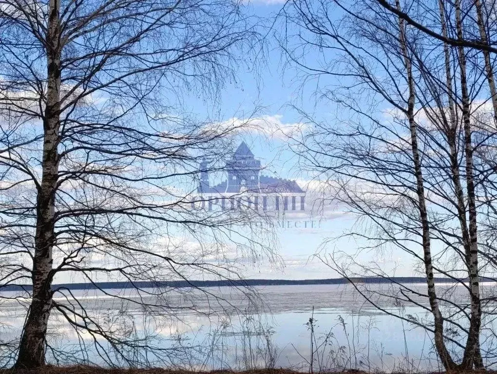 Участок в Нижегородская область, Чкаловск муниципальный округ, д. ... - Фото 2
