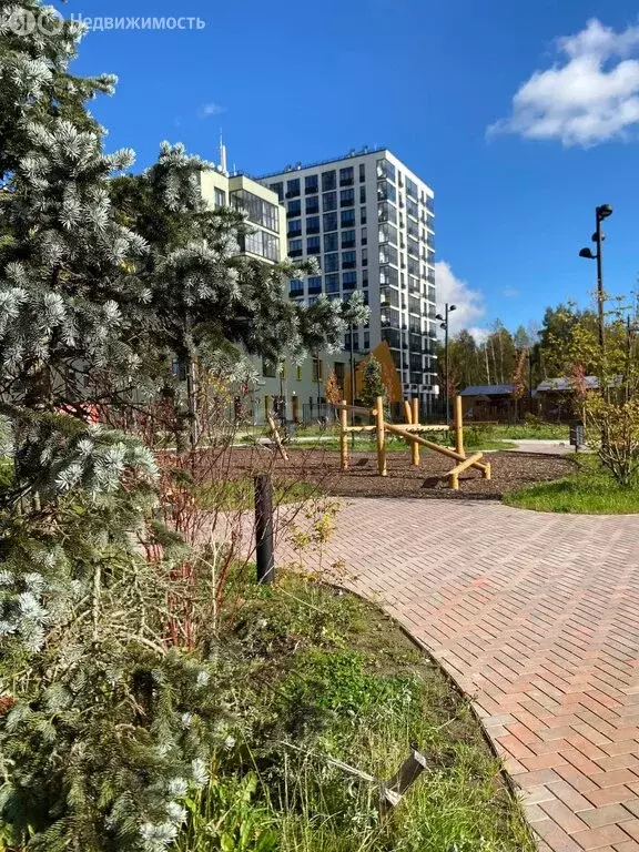 Квартира-студия: Всеволожск, Керченская улица, 1к3 (18.9 м) - Фото 2