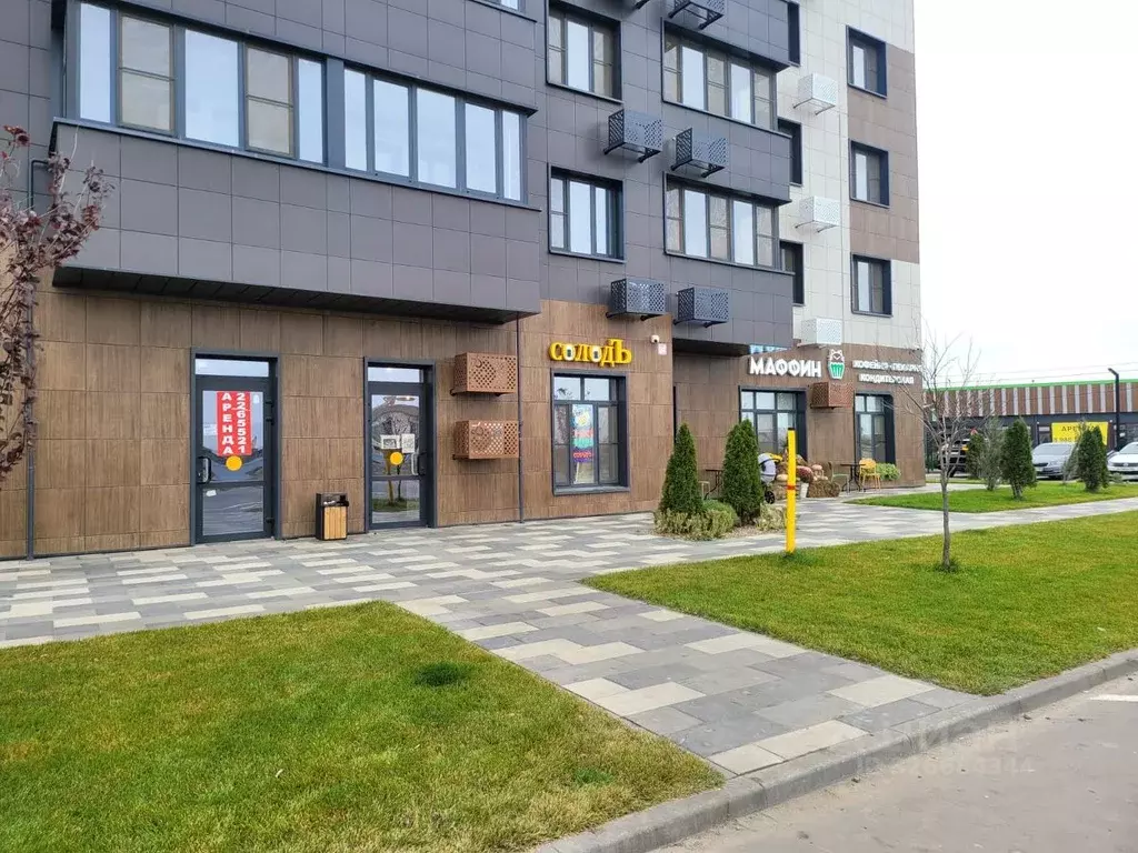 Помещение свободного назначения в Ростовская область, Азовский район, ... - Фото 1