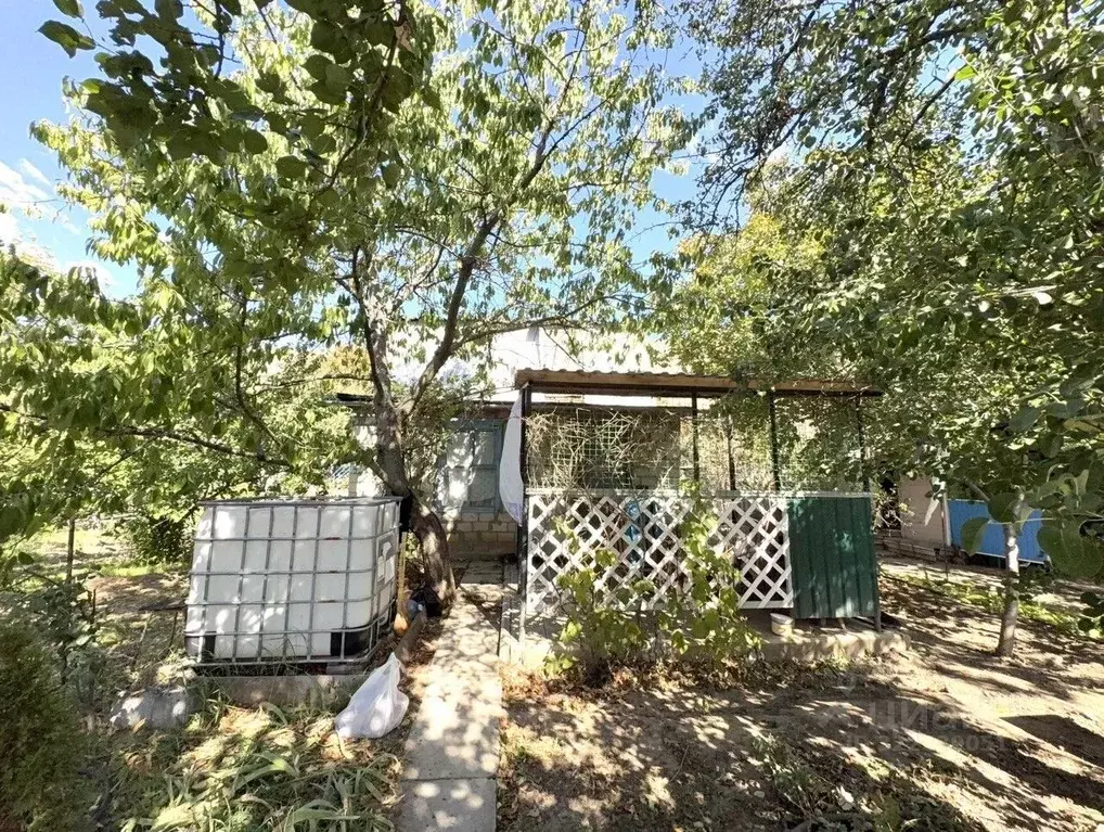 Участок в Ростовская область, Белая Калитва БКМПО-2 садоводческое ... - Фото 2