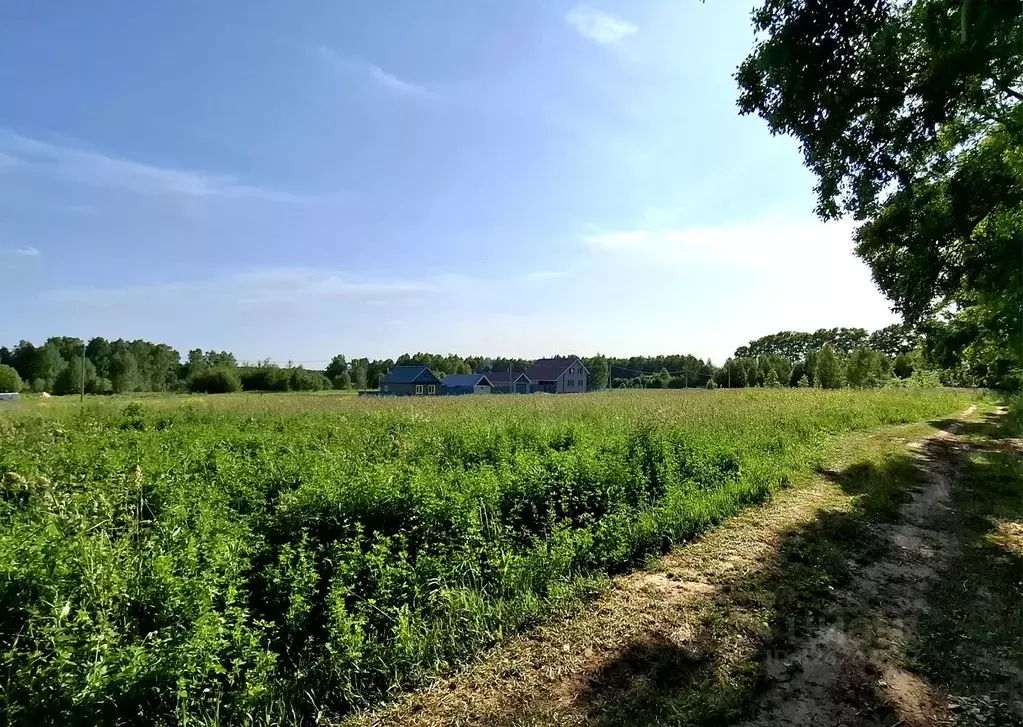 Участок в Марий Эл, Моркинский район, Коркатовское с/пос, д. Коркатово ... - Фото 1
