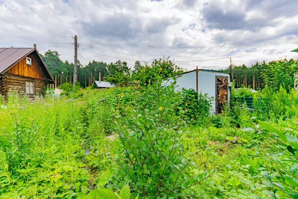 Участок в Екатеринбург, СНТ Шувакишский, 7 (4.6 м) - Фото 1