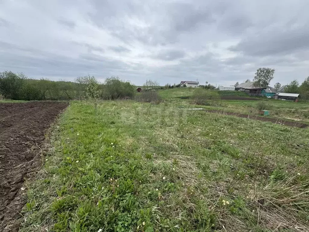 Участок в Архангельская область, Холмогорский муниципальный округ, д. ... - Фото 1