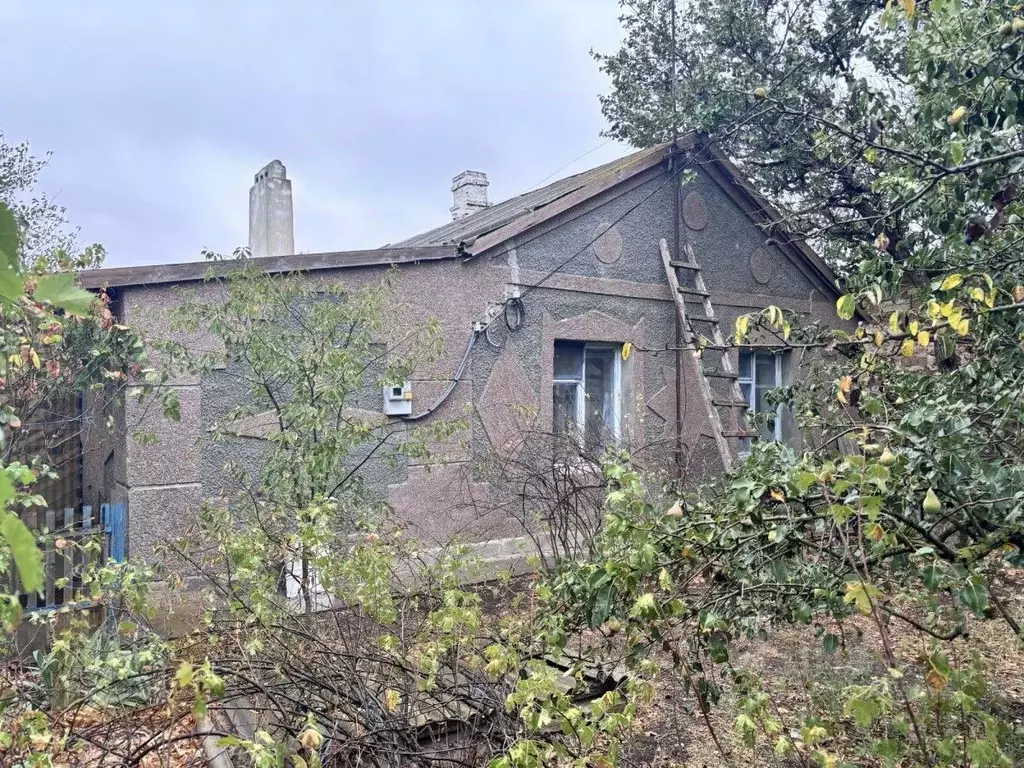 Дом в Крым, Сакский район, Добрушинское с/пос, с. Елизаветово ул. ... - Фото 1