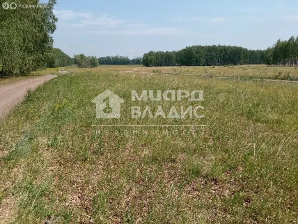 Участок в село Усть-Заостровка, 4-я Полевая улица (15 м) - Фото 2