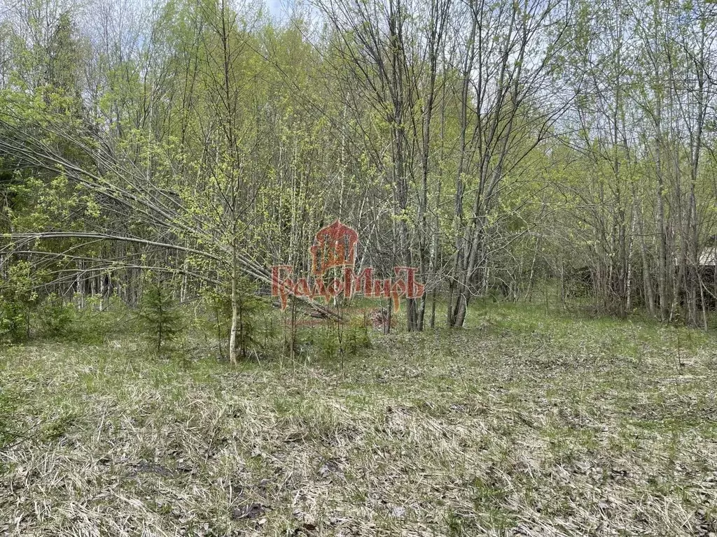 Участок в Московская область, Сергиево-Посадский городской округ, д. ... - Фото 0