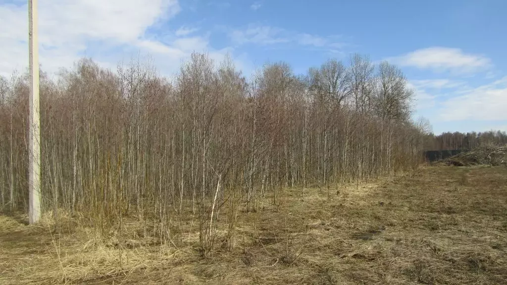 Участок в Московская область, Рузский муниципальный округ, с. ... - Фото 2