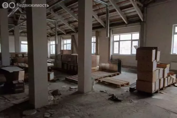 Помещение свободного назначения (206 м) - Фото 1