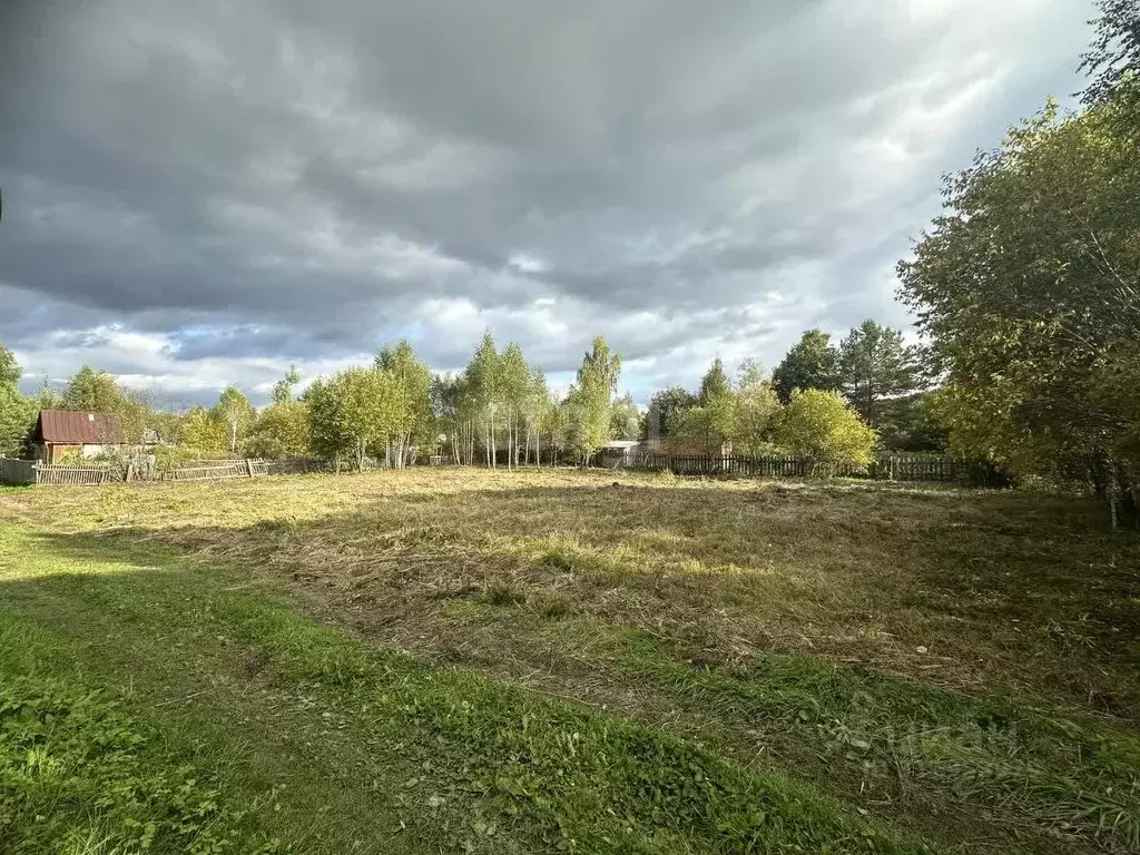 Участок в Тюменская область, Тобольск Вымпел садоводческое ... - Фото 1