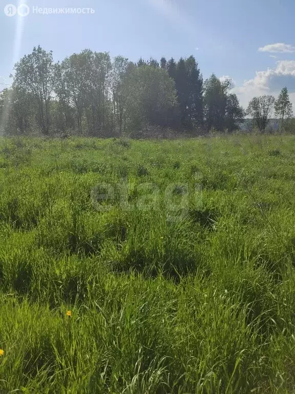 Участок в Вологодский муниципальный округ, деревня Пестово (19.4 м) - Фото 0