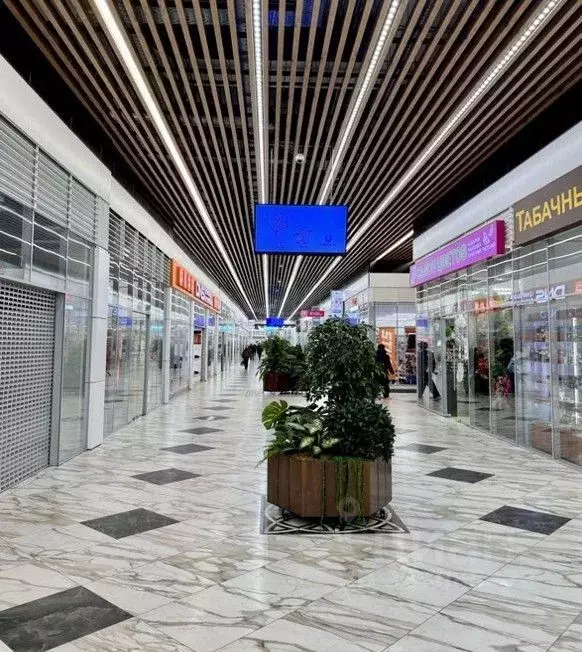 Помещение свободного назначения в Санкт-Петербург Дунайский просп., ... - Фото 2