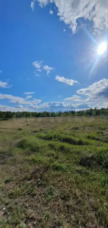 Участок 31 сот. (СНТ, ДНП) - Фото 0