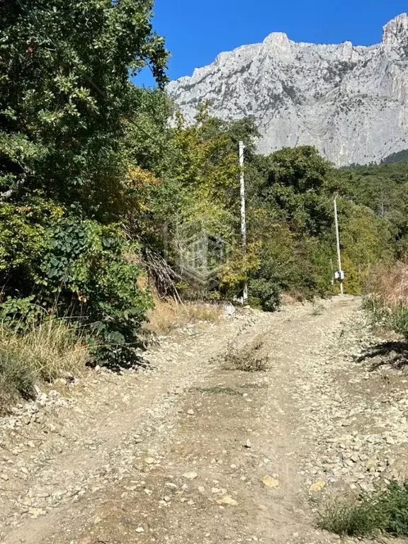 Участок в Крым, Ялта муниципальный округ, Кореиз пгт, пос. Мисхор  ... - Фото 1