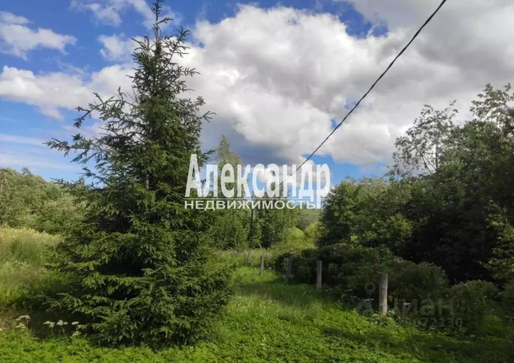 Участок в Ленинградская область, Приозерский район, Севастьяновское ... - Фото 2