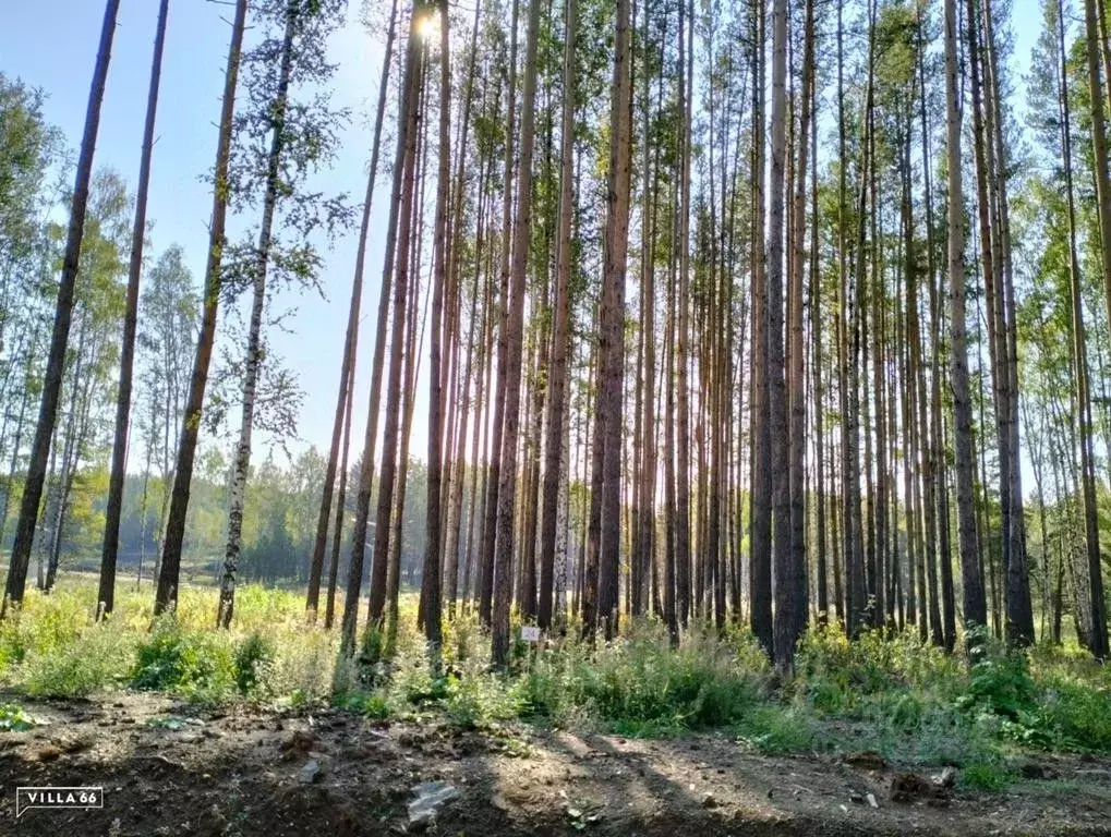 Участок в Свердловская область, Сысертский городской округ, пос. ... - Фото 0