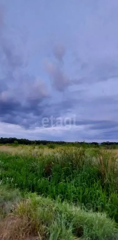 Участок в Адыгея, Майкопский район, Победенское с/пос, Причтовский ... - Фото 1