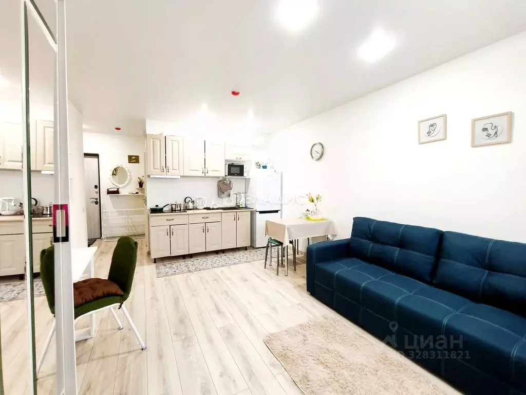 Студия Московская область, Жуковский ул. Гагарина, 81/1 (28.0 м) - Фото 2