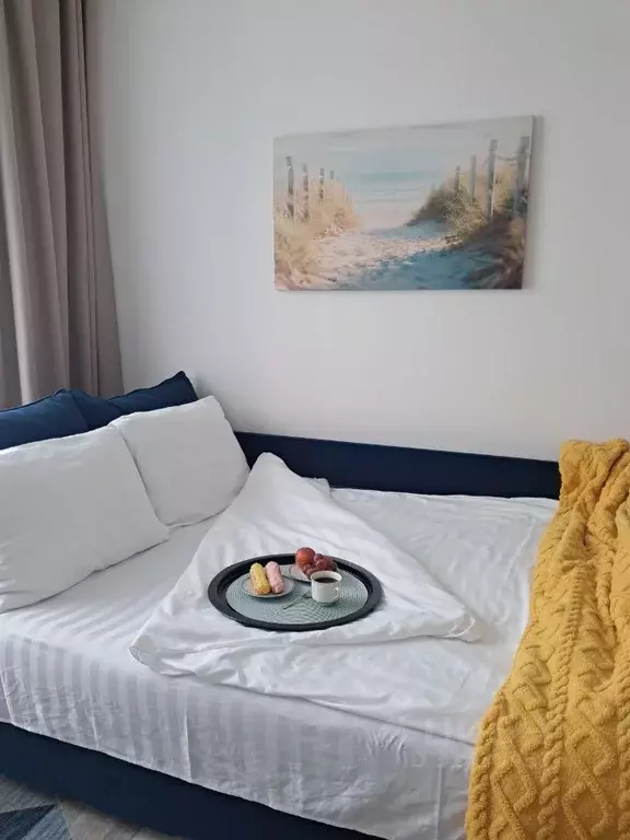 1-к кв. Санкт-Петербург Пулковское ш., 95к3 (32.0 м) - Фото 0