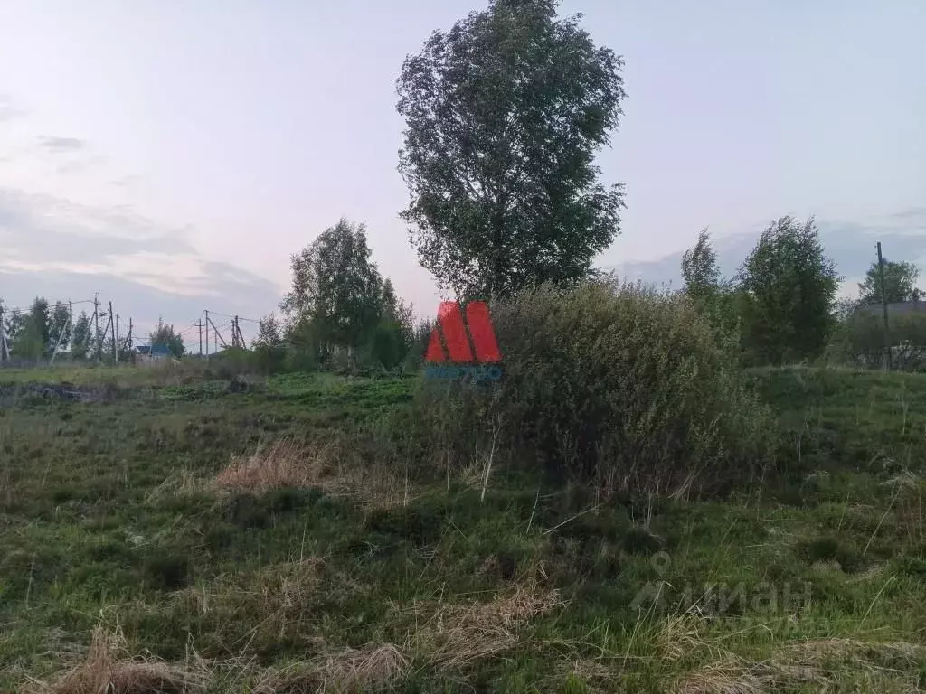 Участок в Ярославская область, Ярославль пер. 4-й Заволжский, 5 (8.0 ... - Фото 2