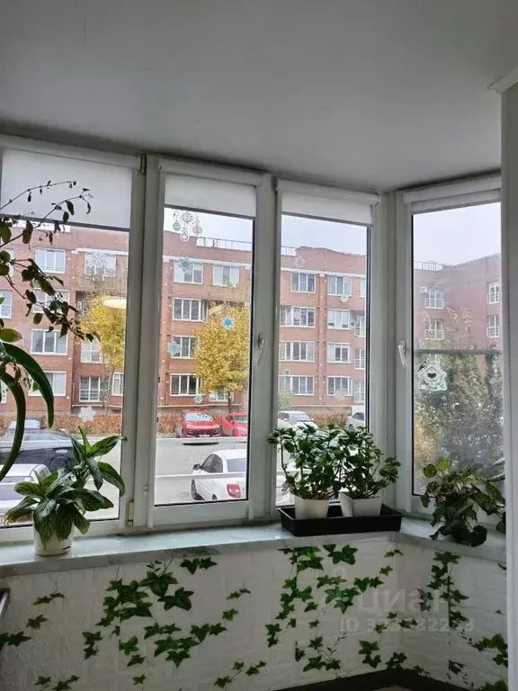 2-к кв. Самарская область, Тольятти Спортивная ул., 41 (55.0 м) - Фото 1