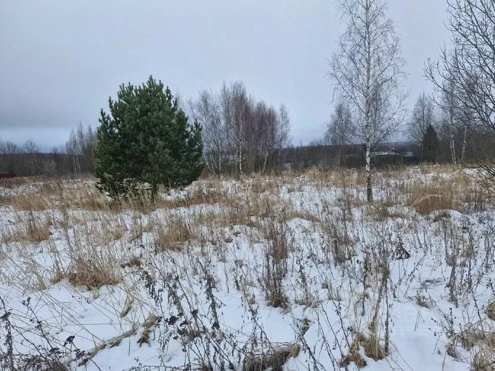 Участок в Московская область, Ступино городской округ, с. Хонятино ул. ... - Фото 0