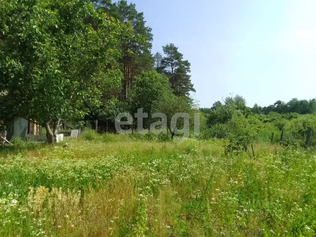 Дом в Брянская область, Фокино Зеленый бор ТСН, 159 (10 м) - Фото 0