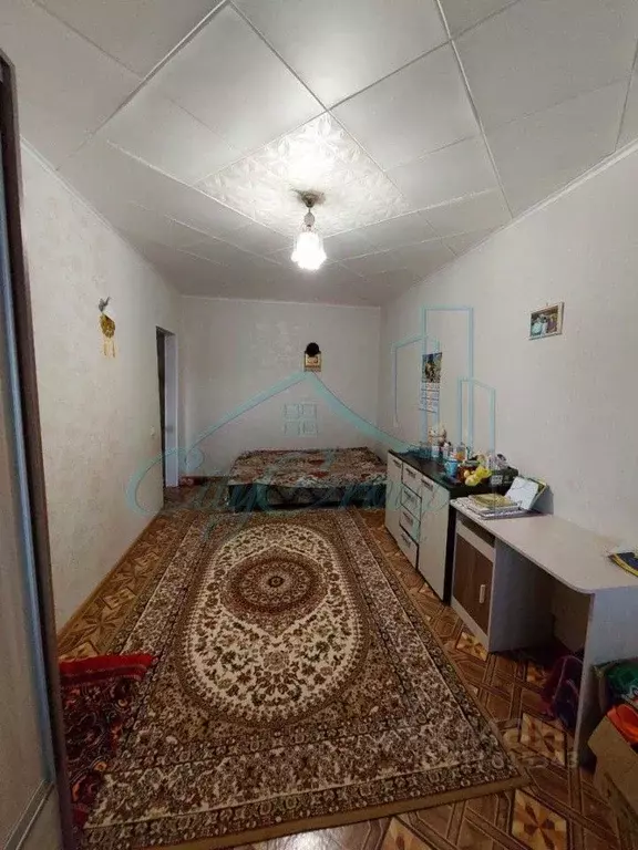 1-к кв. Оренбургская область, Орск пос. ОЗТП, ул. Юлина, 4 (29.2 м) - Фото 1