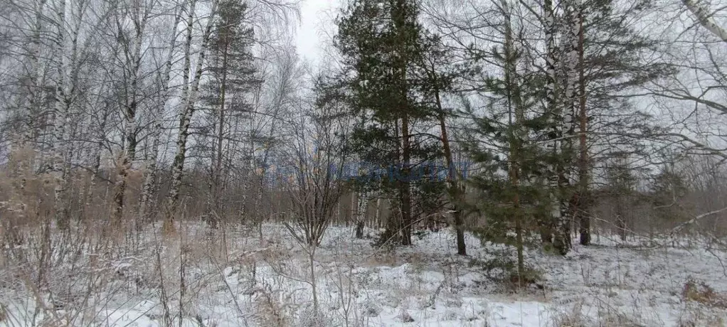 Участок в Нижегородская область, Богородский муниципальный округ, д. ... - Фото 0